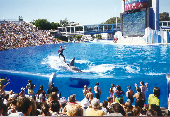 SEAWORLD1.jpg (63573 bytes)