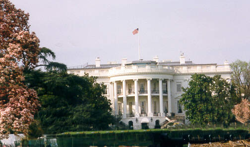 WHITEHOS.jpg (30188 bytes)