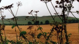 hillfort2a.jpg