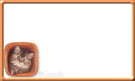 KittyBasket 2