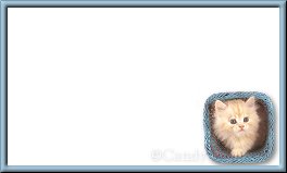 KittyBasket 3