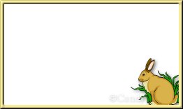 Rabbit