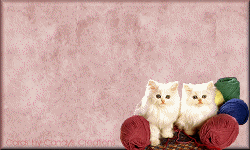 KittyYarn