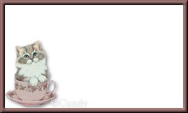 KittyCup