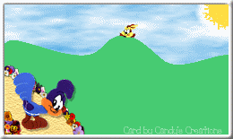 RoadRunner