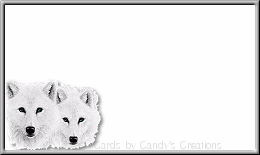 WolfDuo
