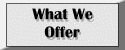 What We Offer
