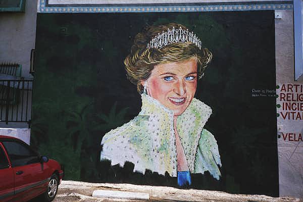 "Princess Diana"