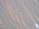 Spuren im Sand