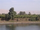 Nilufer