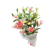 wfol-lilly-b.jpg