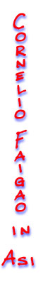 cfaigao.jpg (13633 bytes)