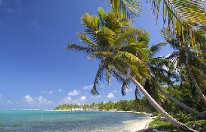 Belize Breeze