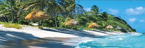 Petit Saint Vincent