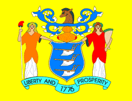 New Jersey Flag