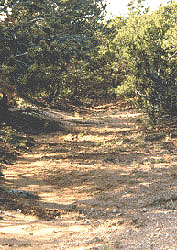 Santa Fe Trail