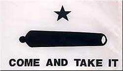 Come And Take It Flag