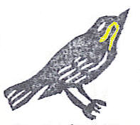 Friedrich Warbler Stamp
