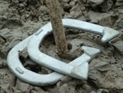 Horseshoes