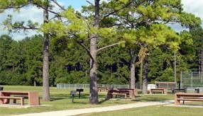 Lindsey Lyons Park