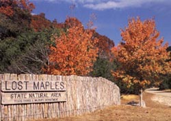 Lost Maples SNA