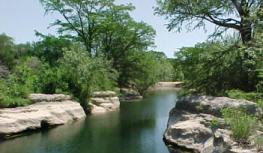 Onion Creek