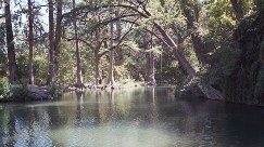 Krause Springs