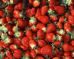 Strawberries