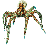 Tarantula