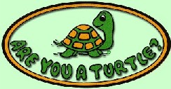 Are You A Turtle?