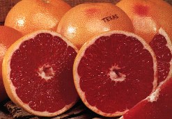 Ruby Red Grapefruit