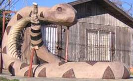 Rattlesnake