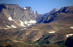 Bear's Tooth