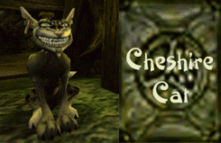 cat