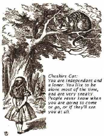 Cheshire Cat: You are independant and a loner. You like to be alone most of the time, and are very sneaky. People never know when you are going to come or go, or if they'll see 