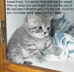 You Are A Sweet Pussy!
