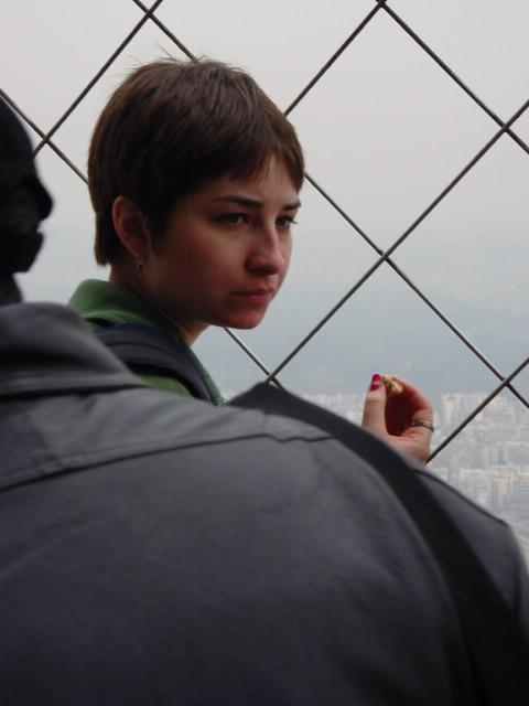 eiffel tower "picnic"