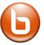 Browzar - Your private window on the Web