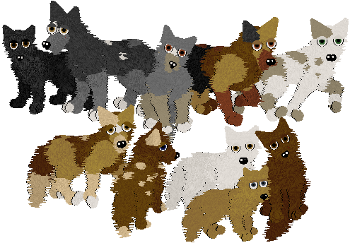 how to breed dogz 5 how to breed dogz 5