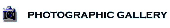 Photographic Gallery