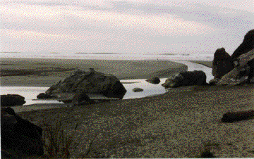 Moon Stone Beach