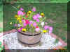 A Flower Barrel