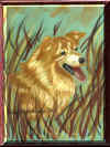 "Mixed Breed Dog" Pastel on Velours Paper