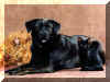Candy and Nikita in a professional pose 2000