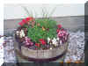 Flower Barrel 1