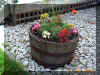 Flower Barrel 2