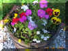 Flower Barrel 3