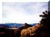 More Colorado Mountains