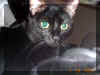 Nikita wonders what's in the camera
