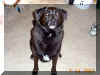 Candy says she didn't chew on the sneaker